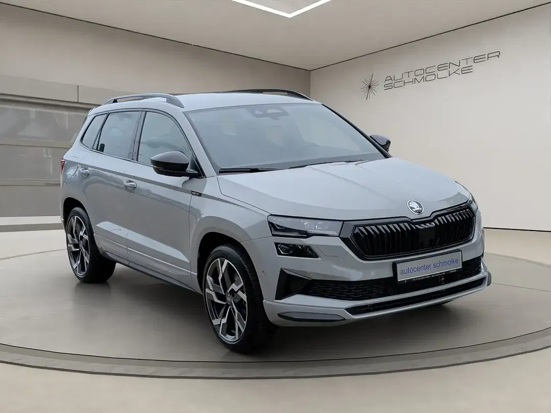 Skoda Karoq - Thumbnail 7