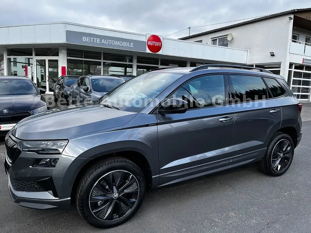 Skoda Karoq - Thumbnail 1