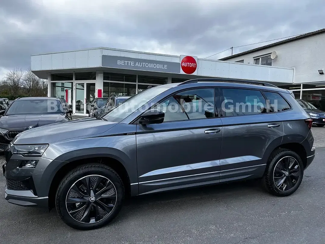 Skoda Karoq - Thumbnail 3