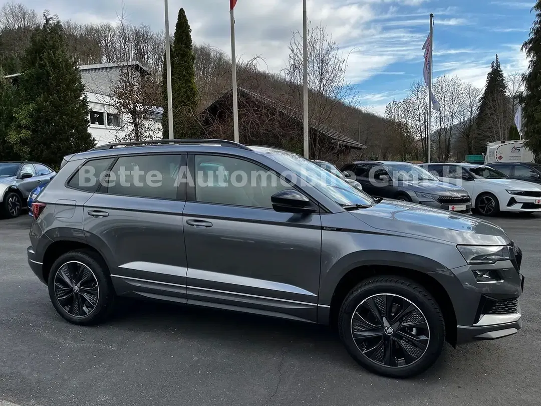 Skoda Karoq - Thumbnail 4