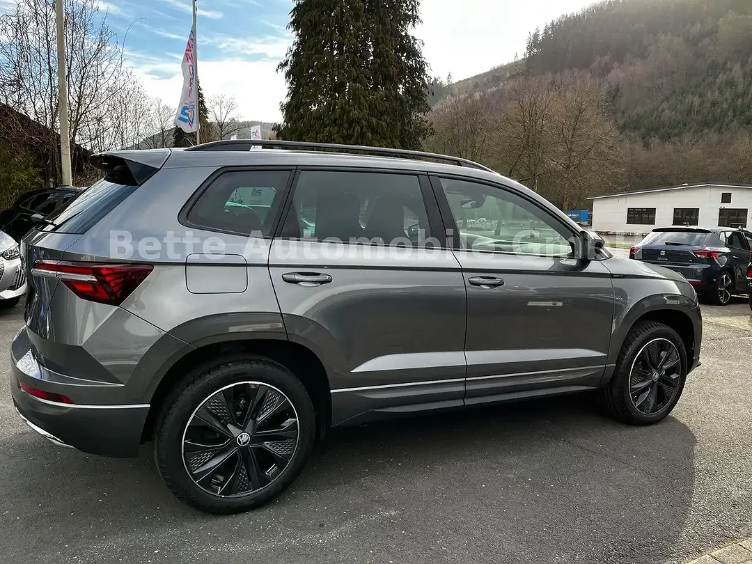 Skoda Karoq - Thumbnail 7