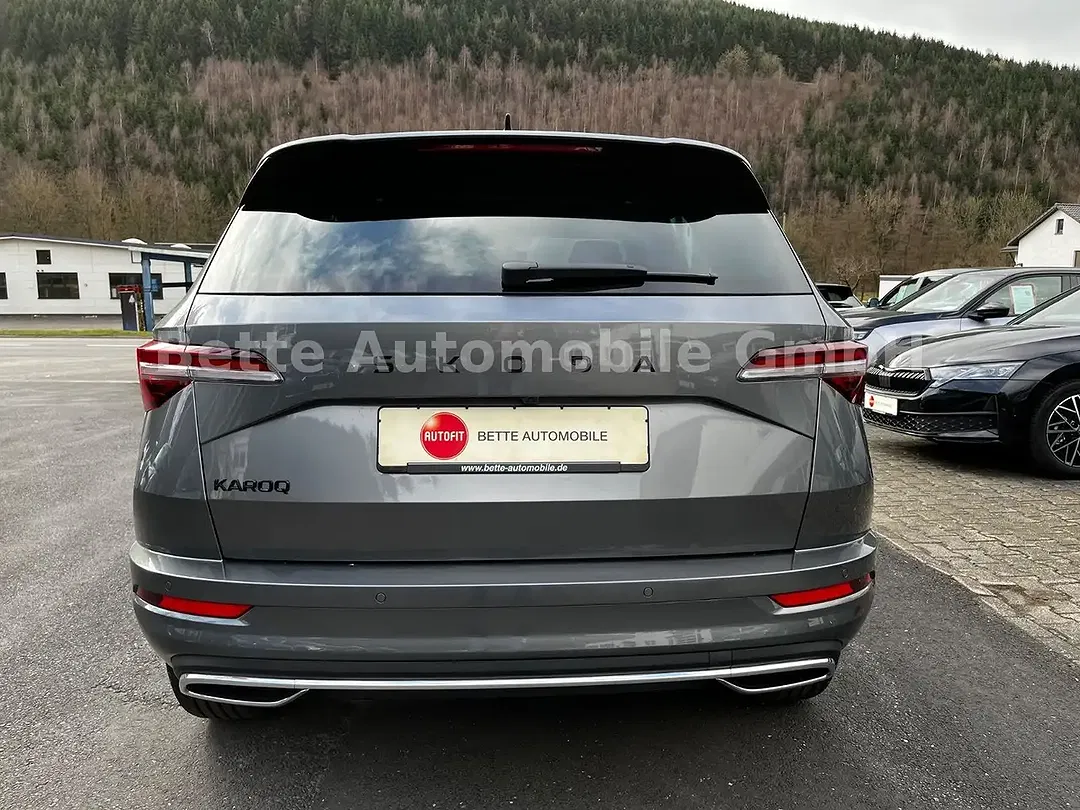 Skoda Karoq - Thumbnail 8