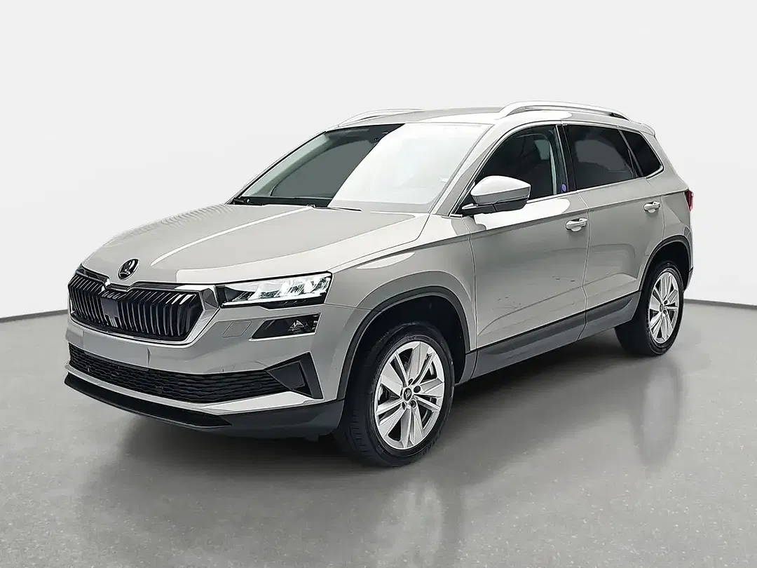 Skoda Karoq - Thumbnail 1