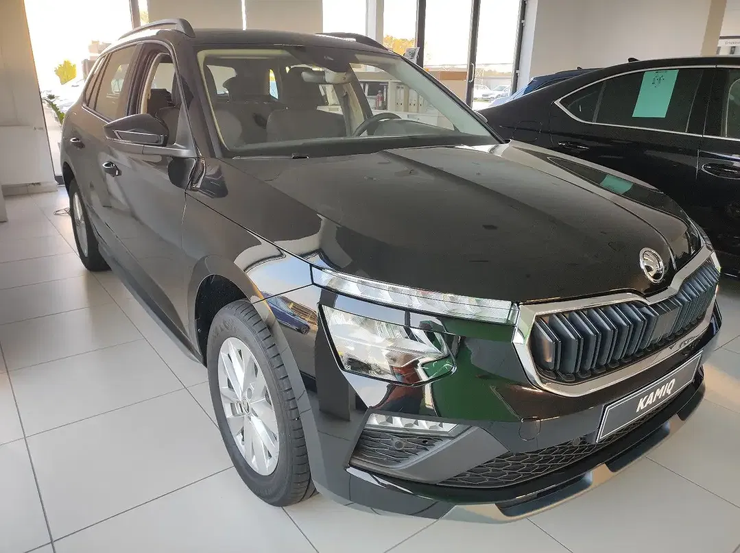 Skoda Kamiq - Thumbnail 9
