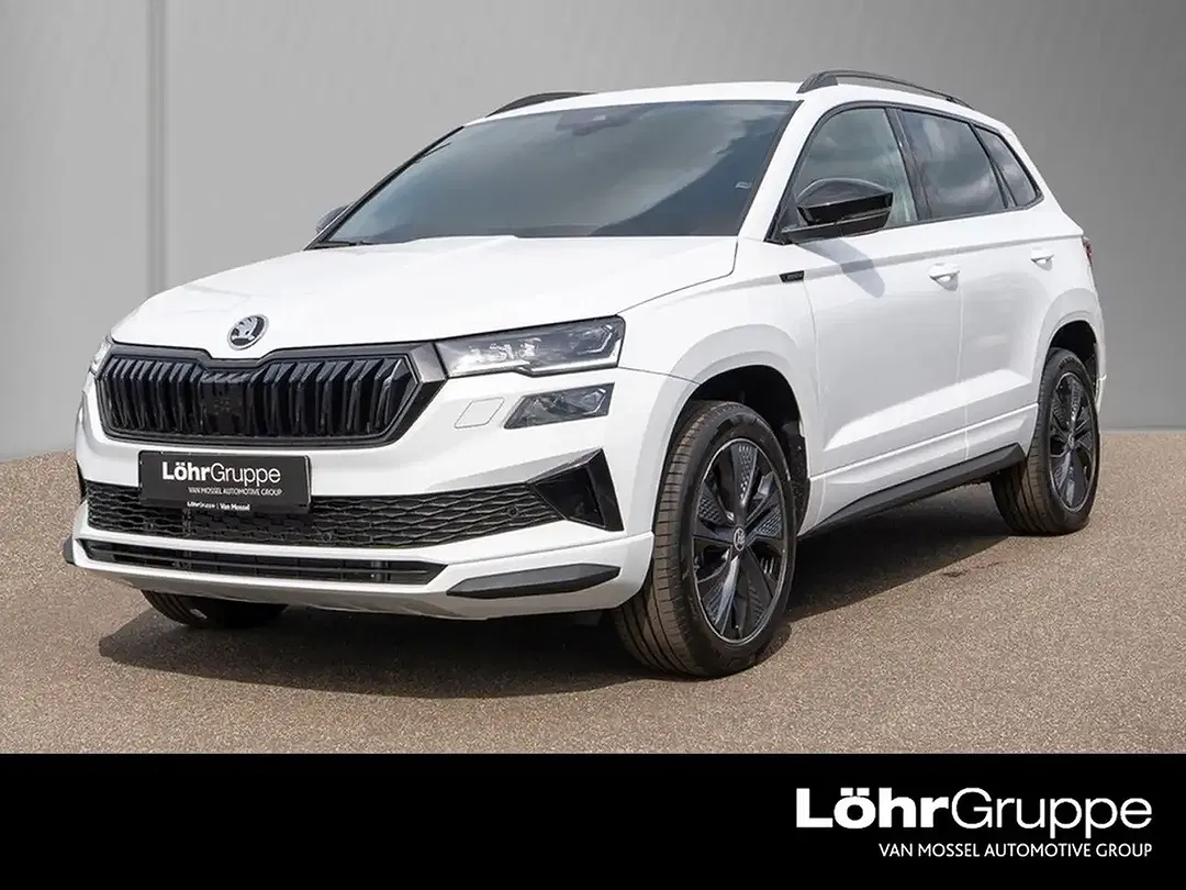 Skoda Karoq - Thumbnail 1