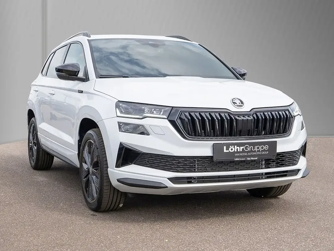 Skoda Karoq - Thumbnail 3