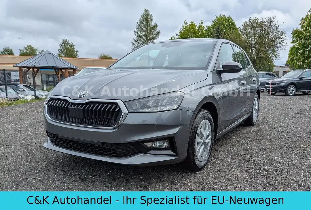Skoda Fabia - Thumbnail 1
