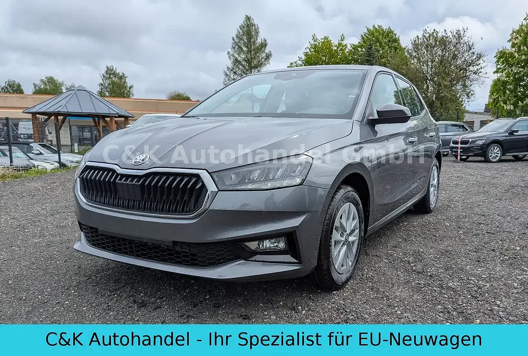 Skoda Fabia - Afbeelding 1