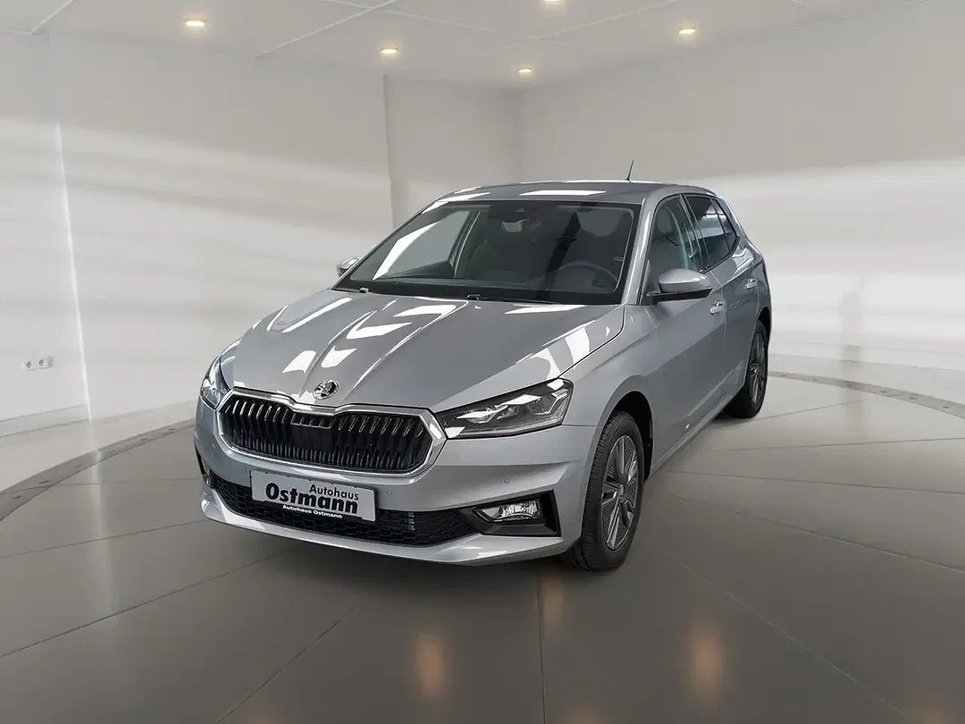 Skoda Fabia - Afbeelding 1