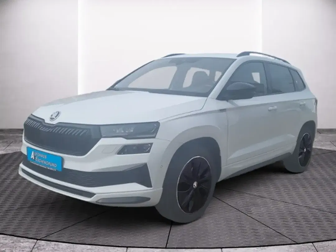 Skoda Karoq - Thumbnail 2