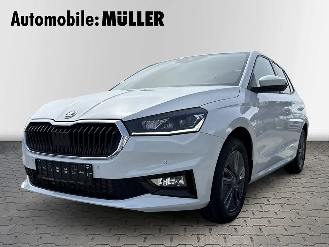 Skoda Fabia - Afbeelding 1