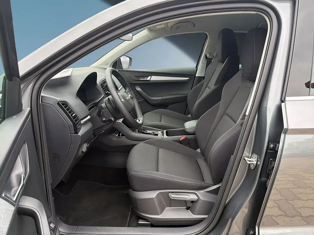 Skoda Karoq - Thumbnail 11