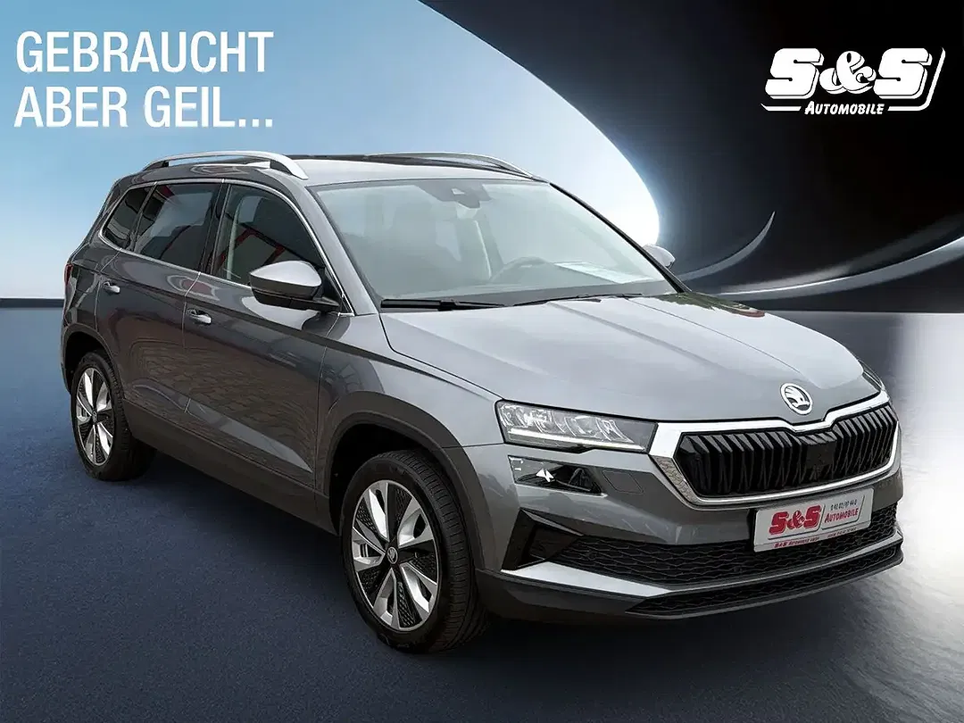 Skoda Karoq - Thumbnail 7