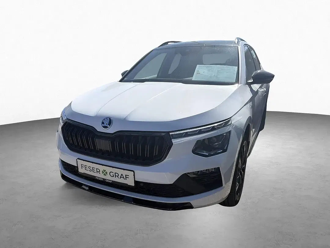 Skoda Kamiq - Thumbnail 11