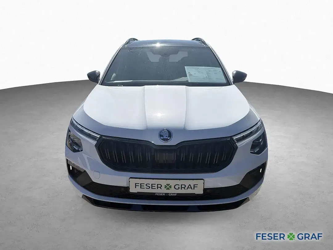Skoda Kamiq - Thumbnail 2