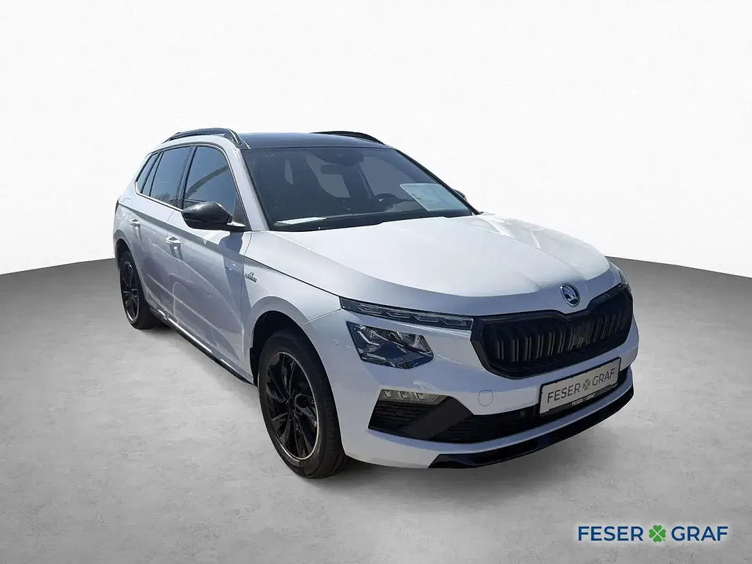 Skoda Kamiq - Thumbnail 3