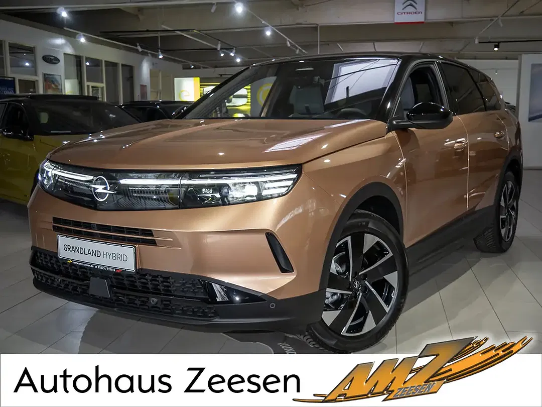 Opel Grandland - Thumbnail 5