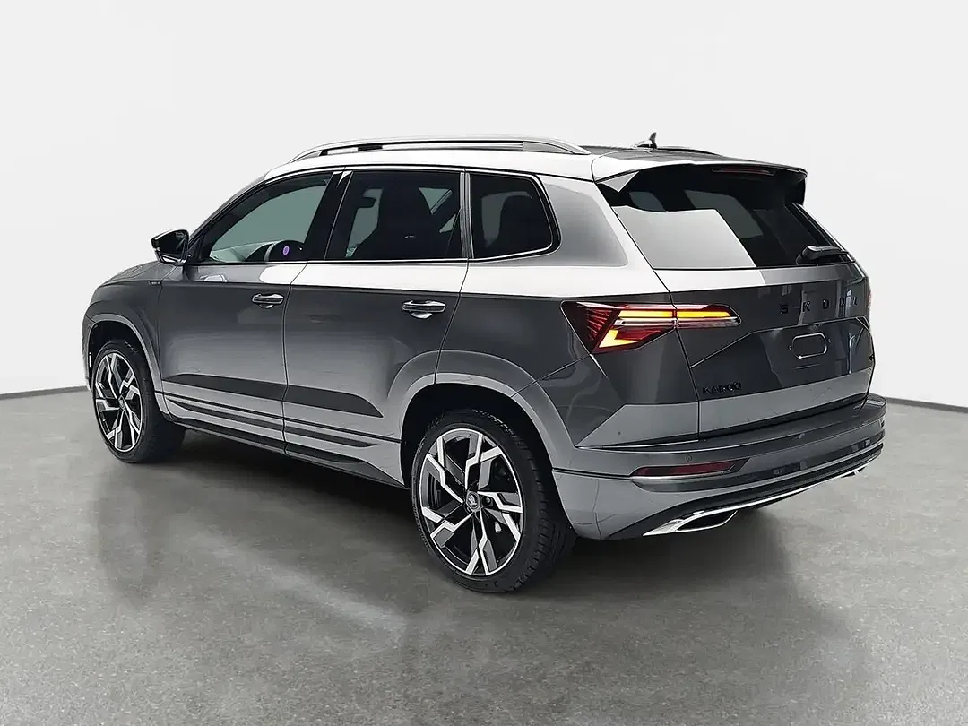Skoda Karoq - Thumbnail 4