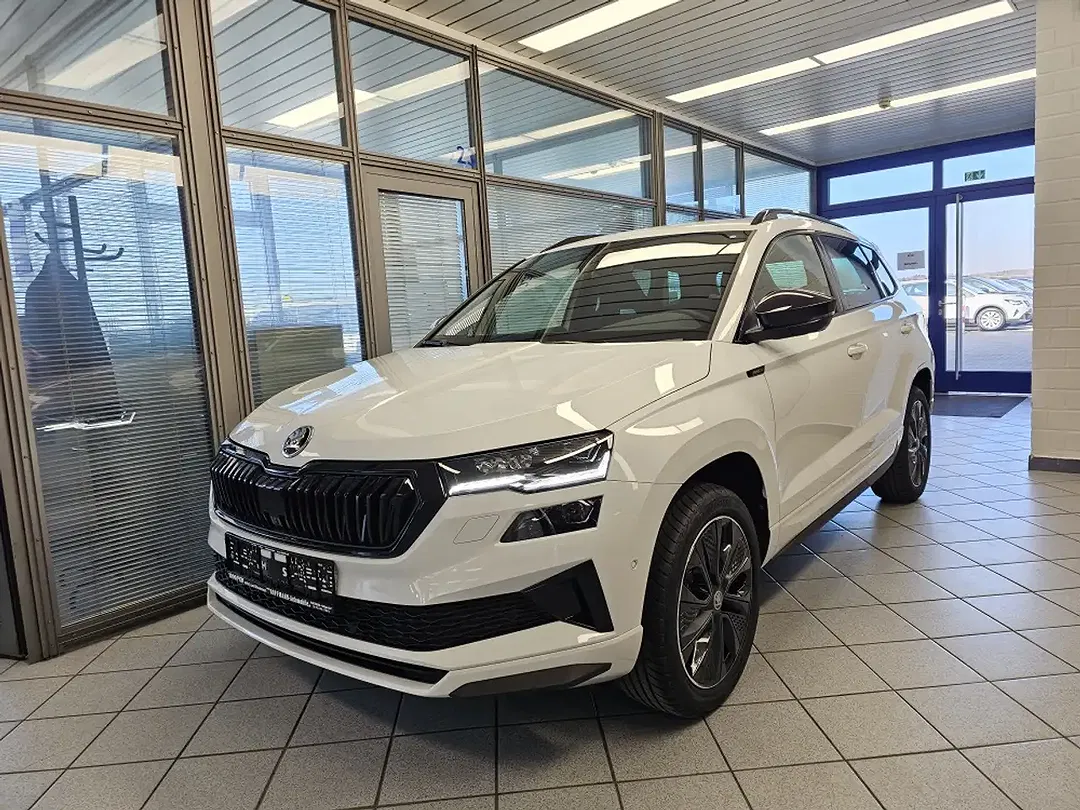 Skoda Karoq - Thumbnail 2