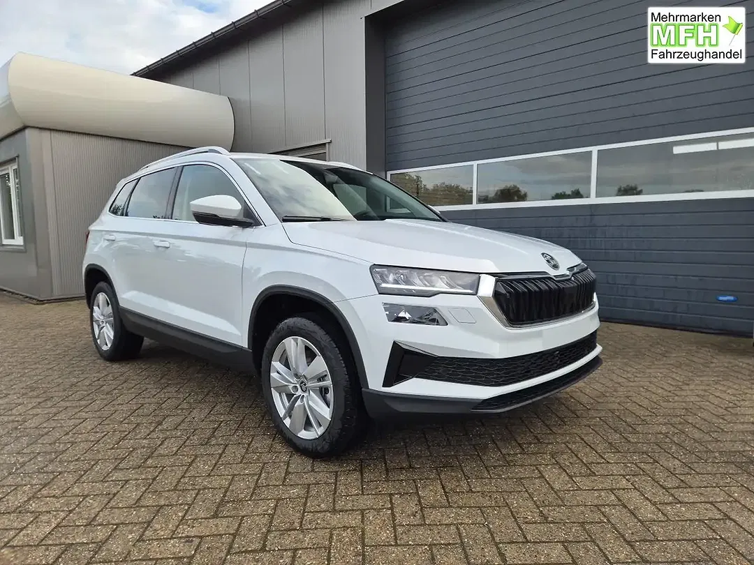 Skoda Karoq - Thumbnail 7