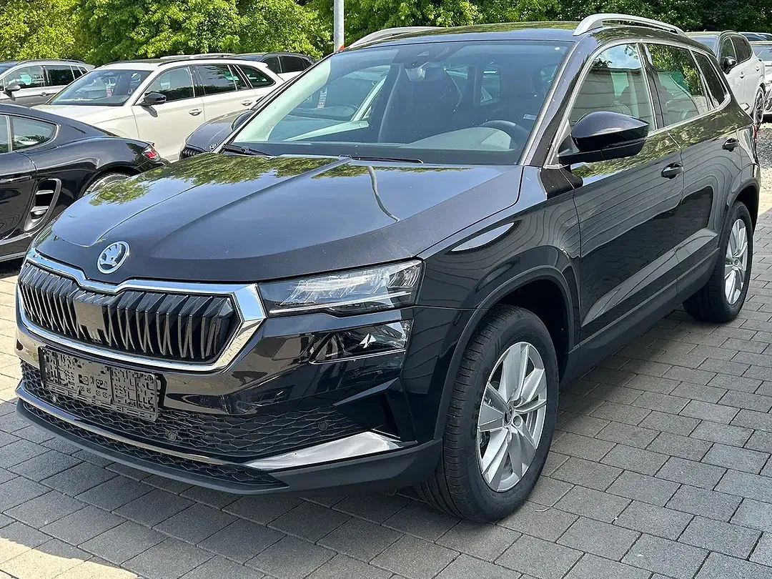 Skoda Karoq - Thumbnail 3