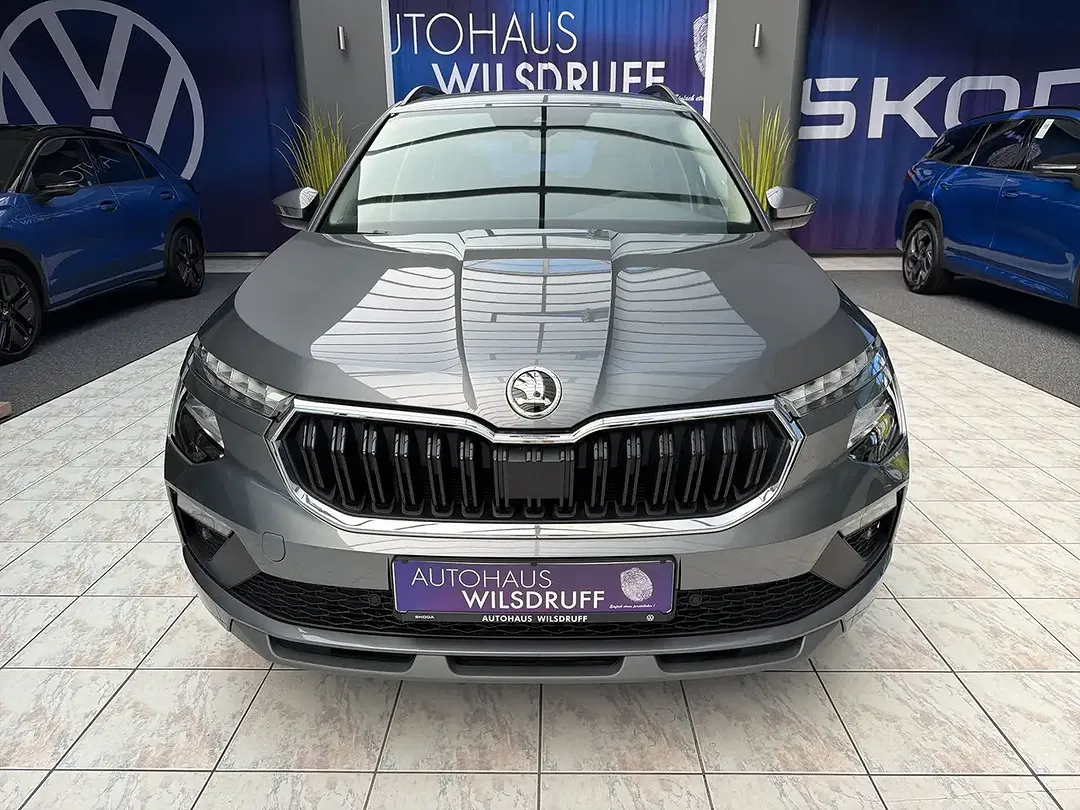 Skoda Kamiq - Thumbnail 3