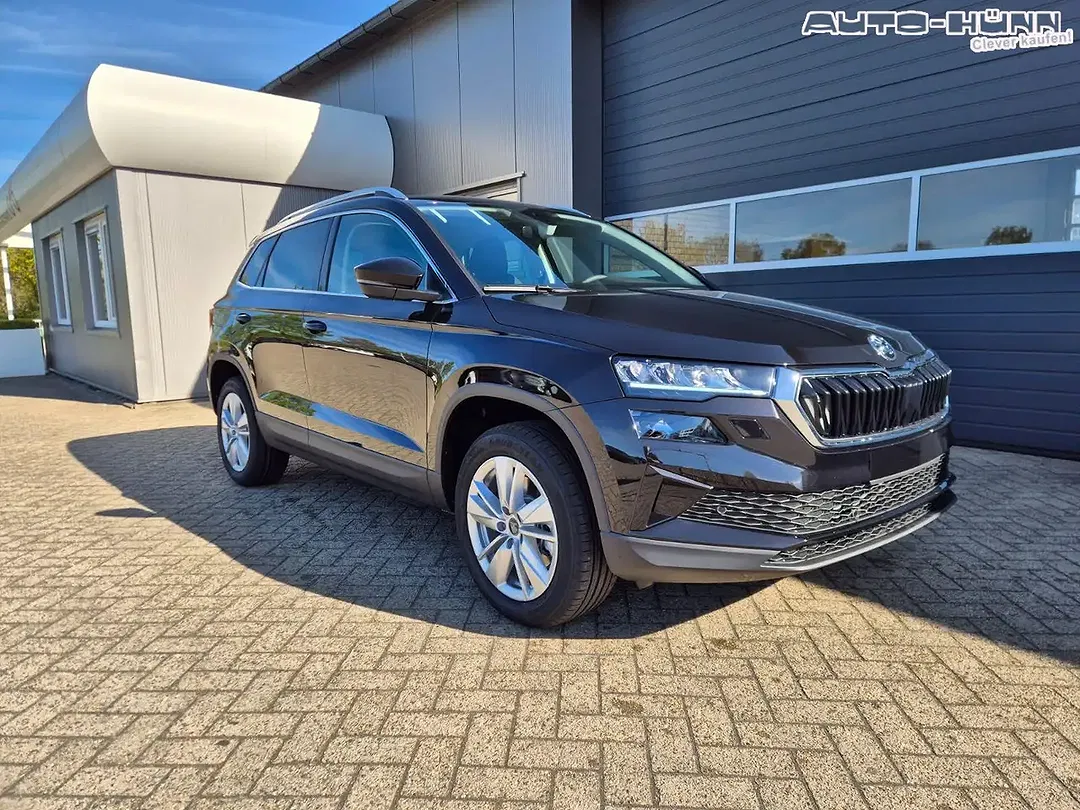 Skoda Karoq - Thumbnail 7