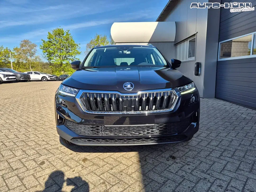 Skoda Karoq - Thumbnail 8