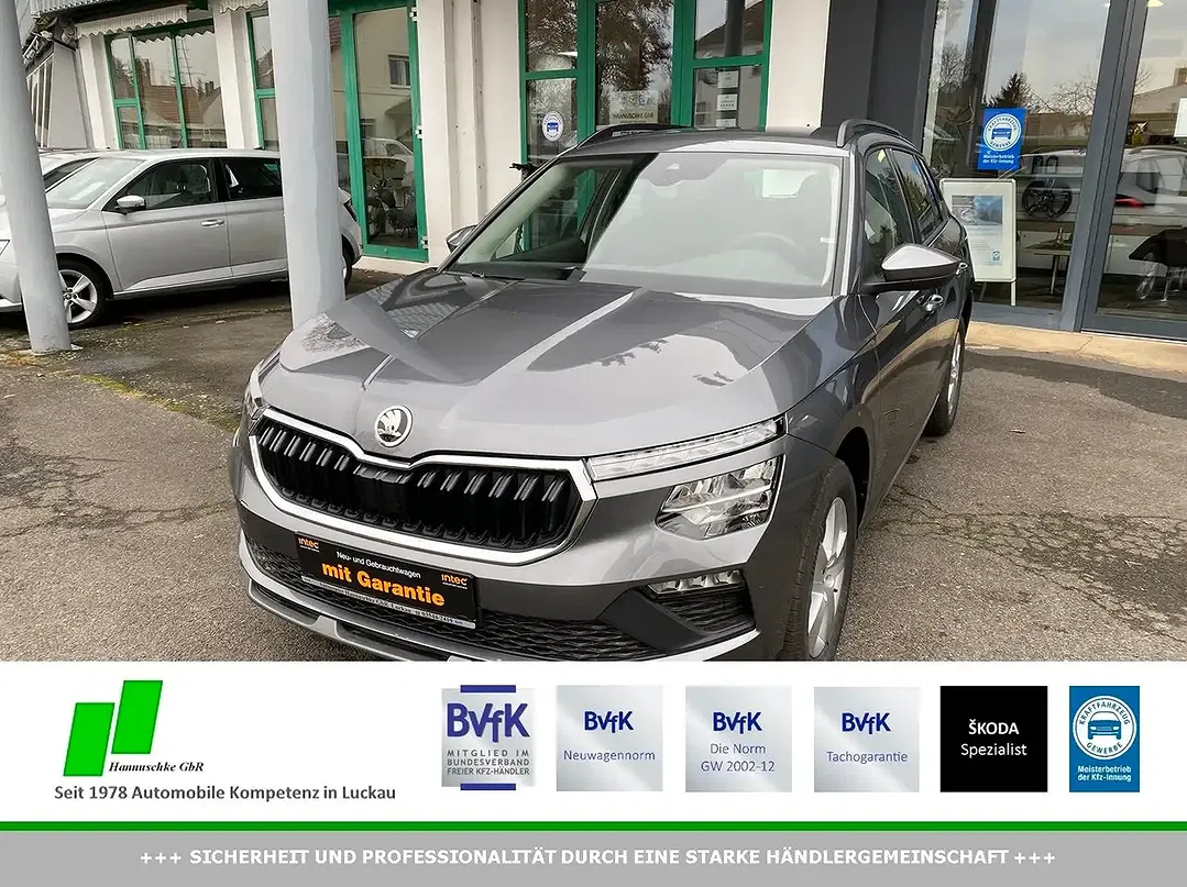 Skoda Kamiq - Thumbnail 1