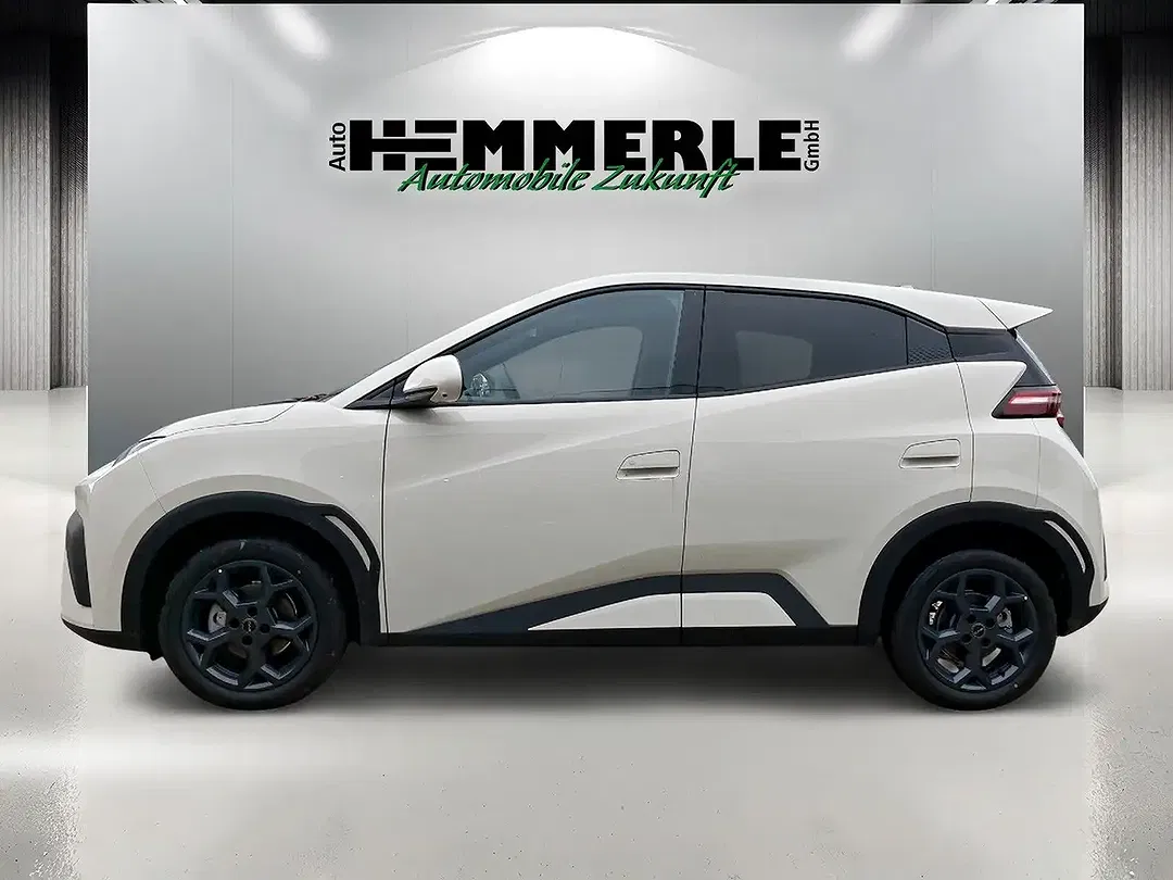 BYD Dolphin - Thumbnail 2