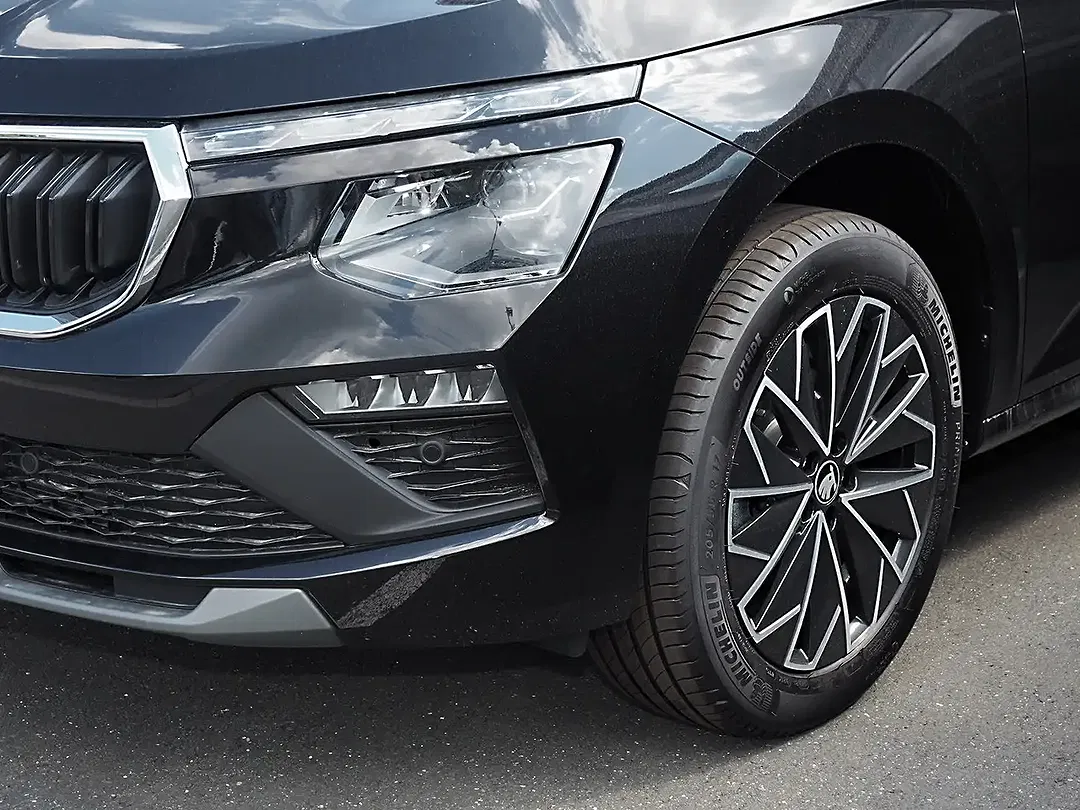 Skoda Kamiq - Thumbnail 10