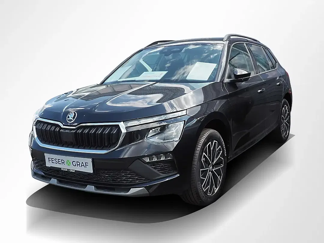 Skoda Kamiq - Thumbnail 11