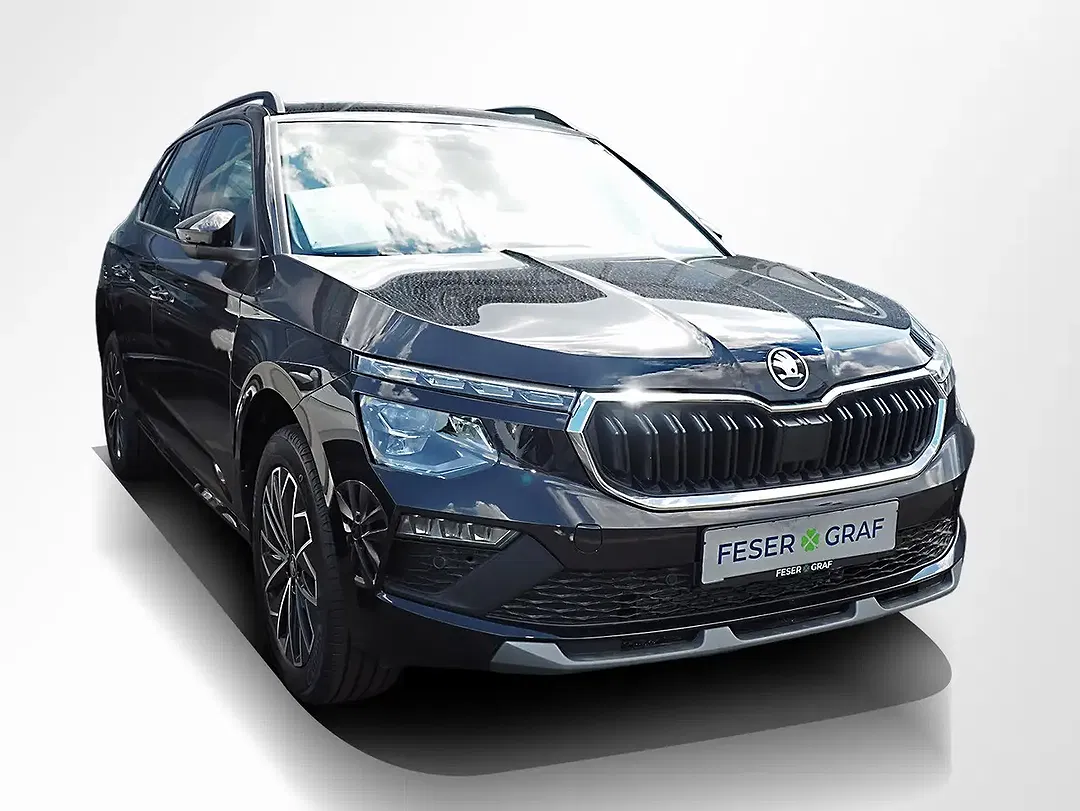 Skoda Kamiq - Thumbnail 2