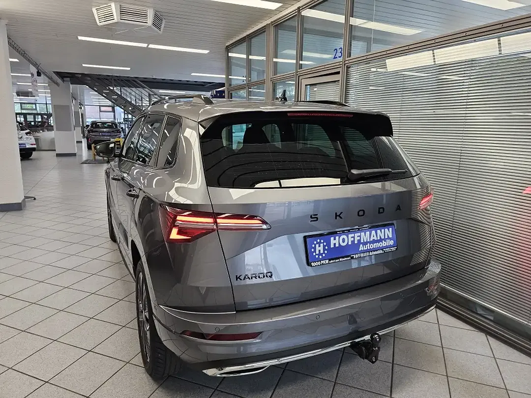 Skoda Karoq - Thumbnail 9