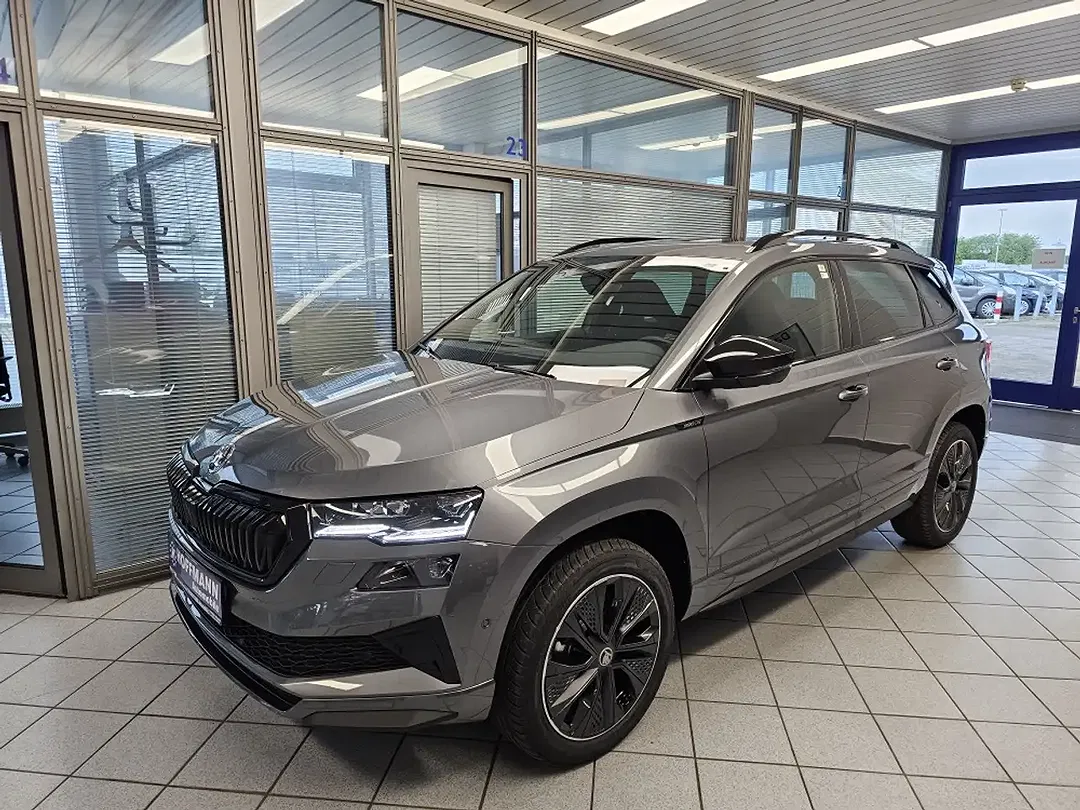 Skoda Karoq - Thumbnail 2