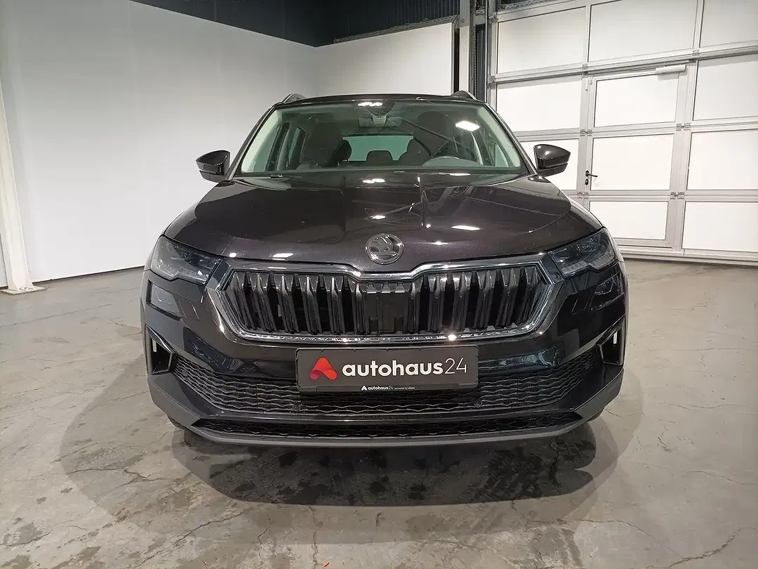 Skoda Karoq - Thumbnail 2
