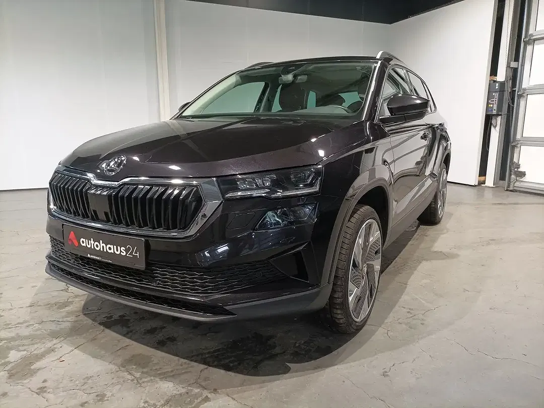 Skoda Karoq - Thumbnail 3