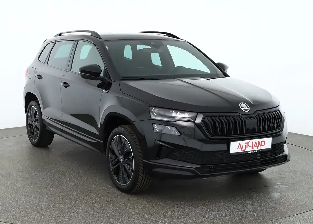 Skoda Karoq - Thumbnail 6