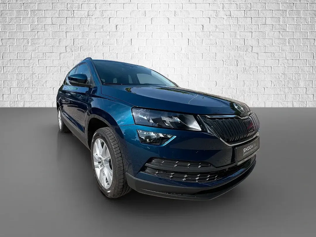 Skoda Karoq - Thumbnail 7