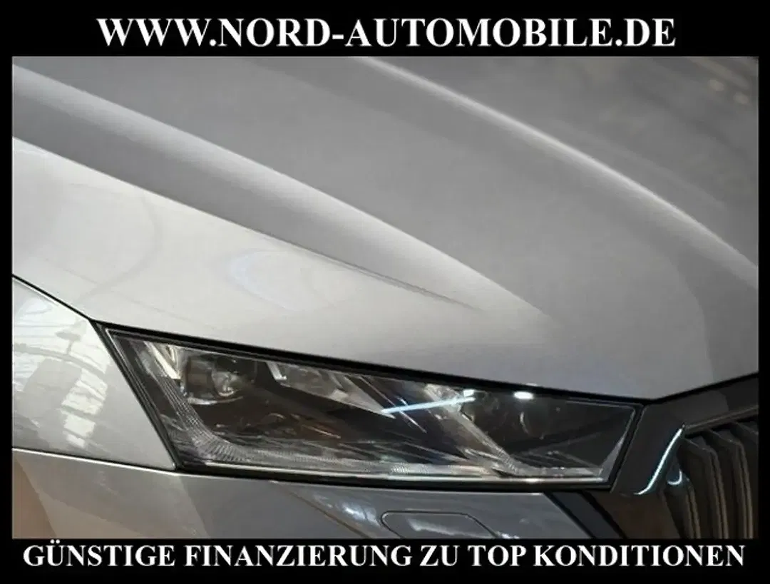 Skoda Octavia - Thumbnail 12