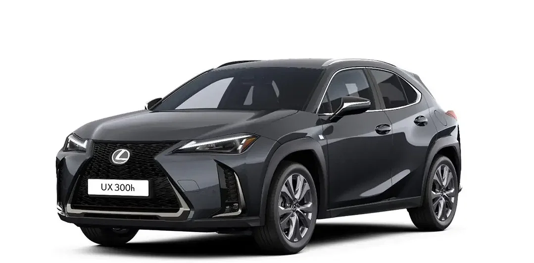 Lexus UX 300h - Afbeelding 1