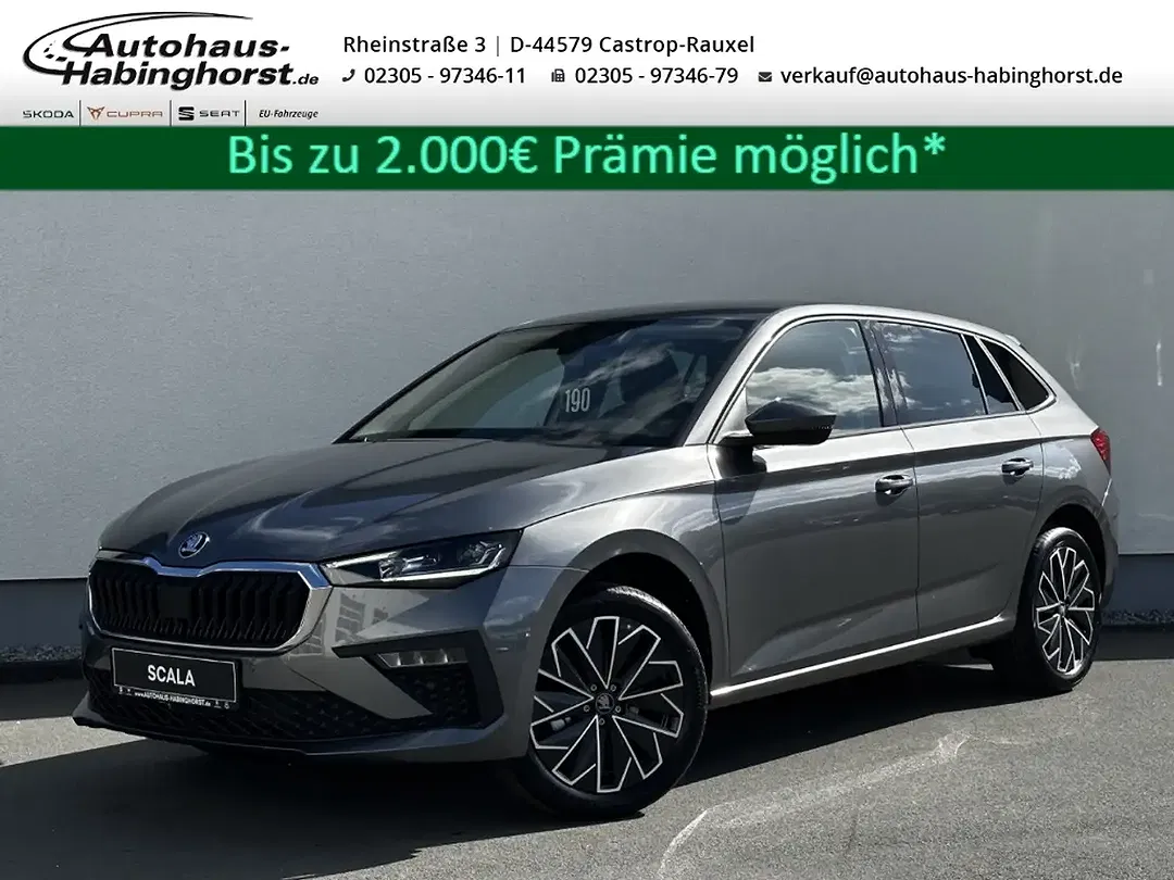 Skoda Scala - Thumbnail 1