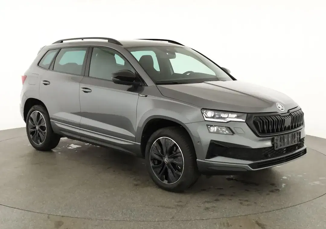 Skoda Karoq - Thumbnail 1