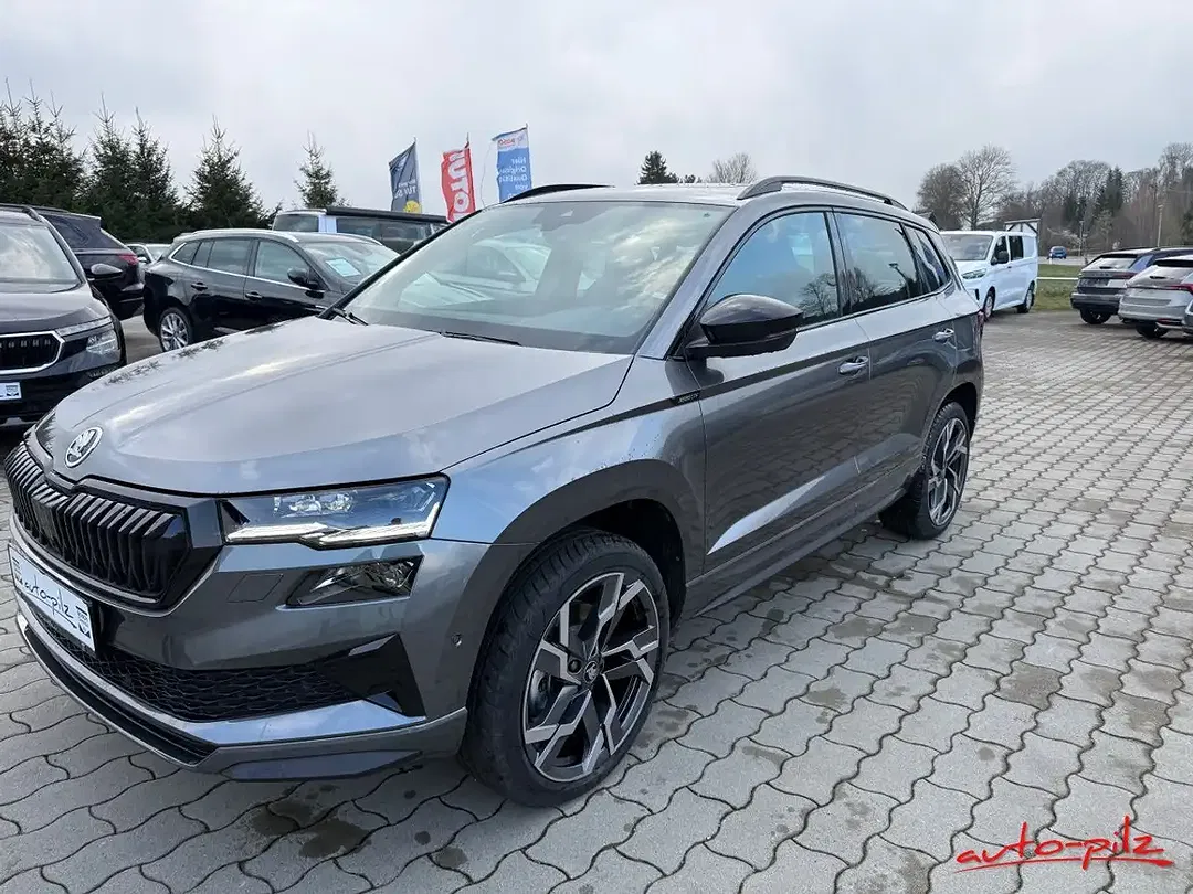 Skoda Karoq - Thumbnail 2