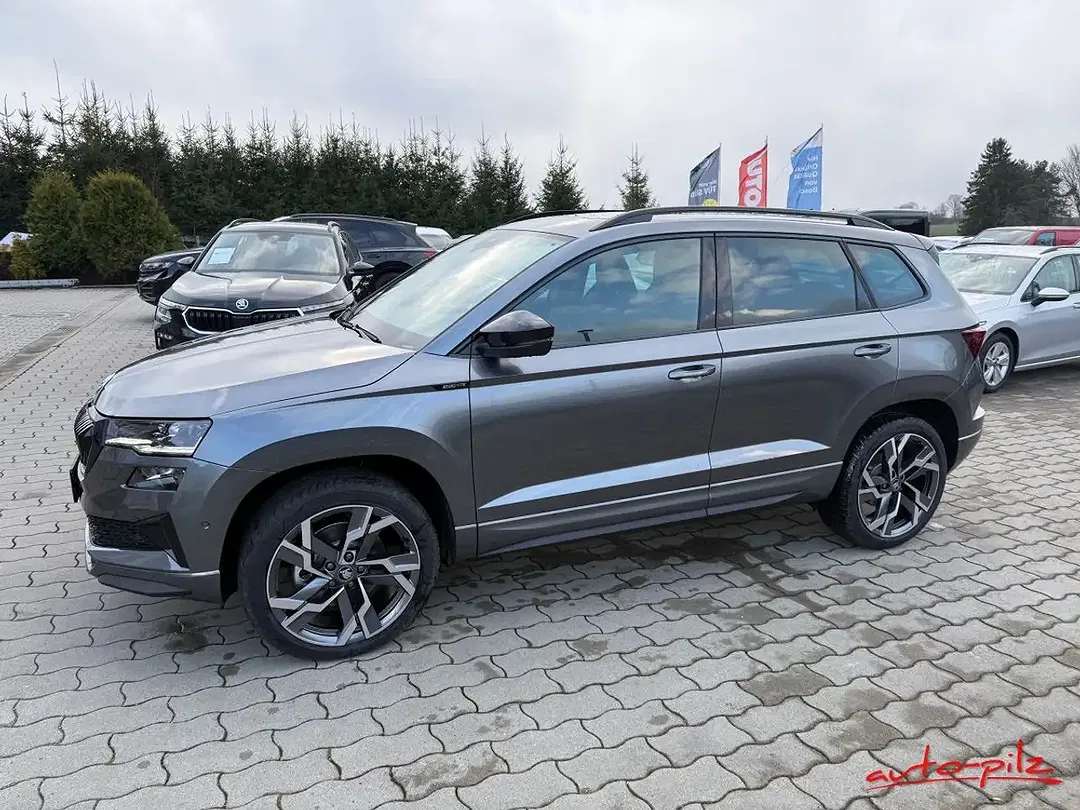 Skoda Karoq - Thumbnail 3