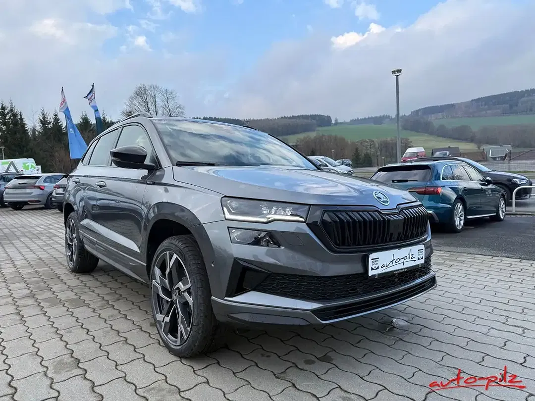 Skoda Karoq - Thumbnail 6