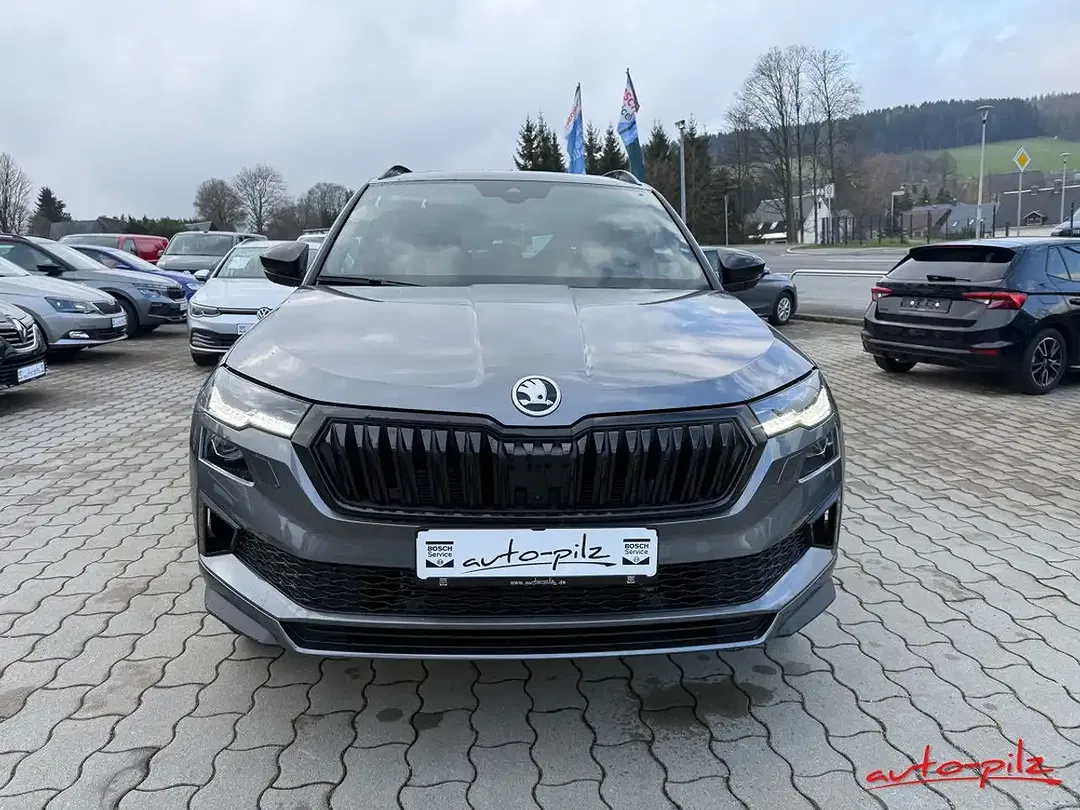 Skoda Karoq - Thumbnail 7