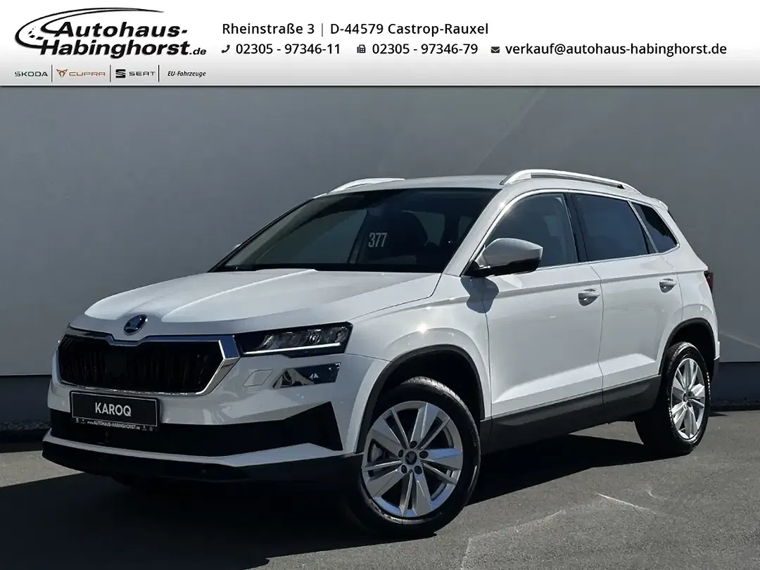 Skoda Karoq - Thumbnail 1
