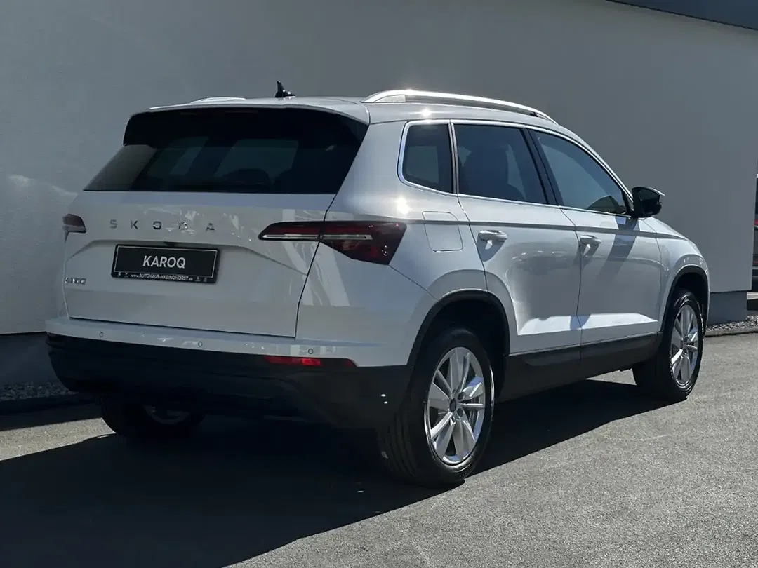 Skoda Karoq - Thumbnail 2