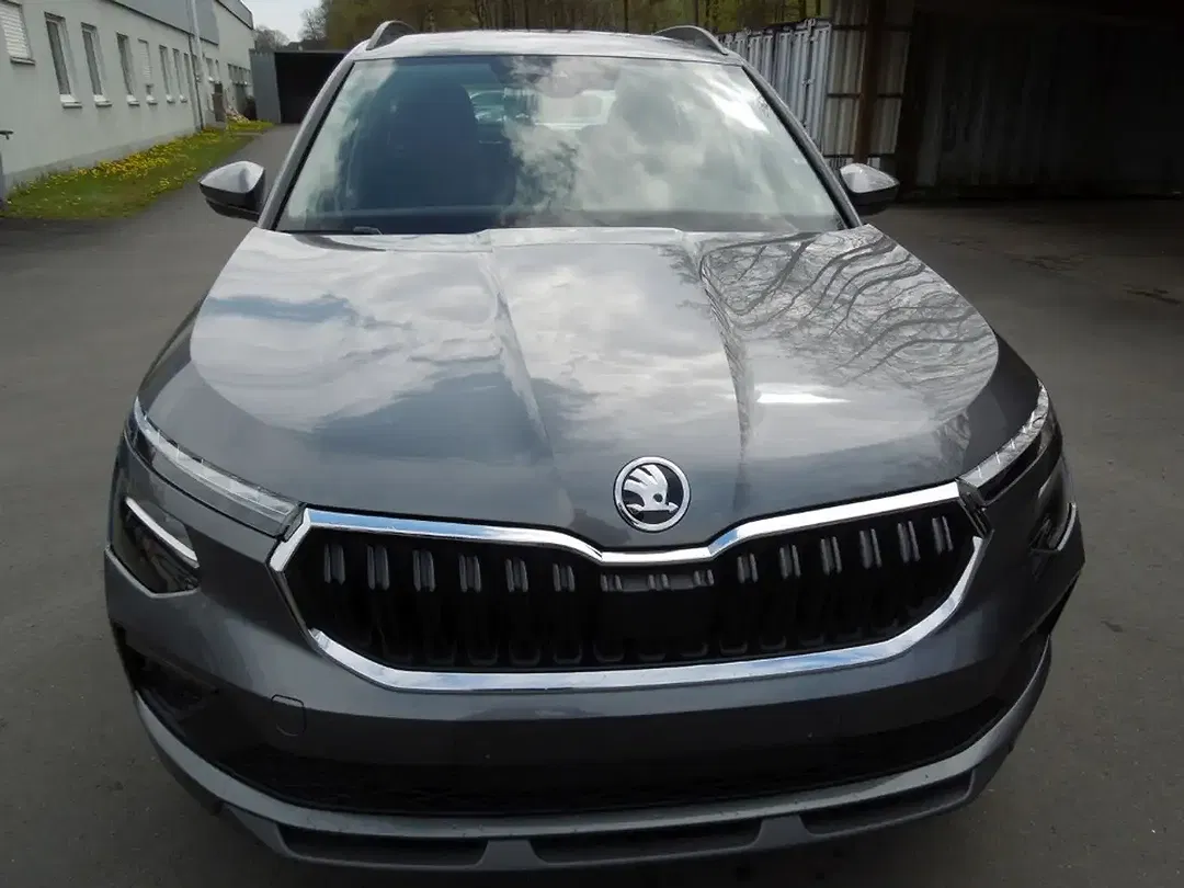 Skoda Kamiq - Thumbnail 2